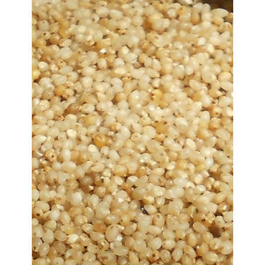 Foxtail Millet